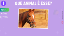 Nível Fácil – Parte 1 -Que animal é esse? 🌿🦁 Descubra 10 Criaturas Encantadoras com a Gente!