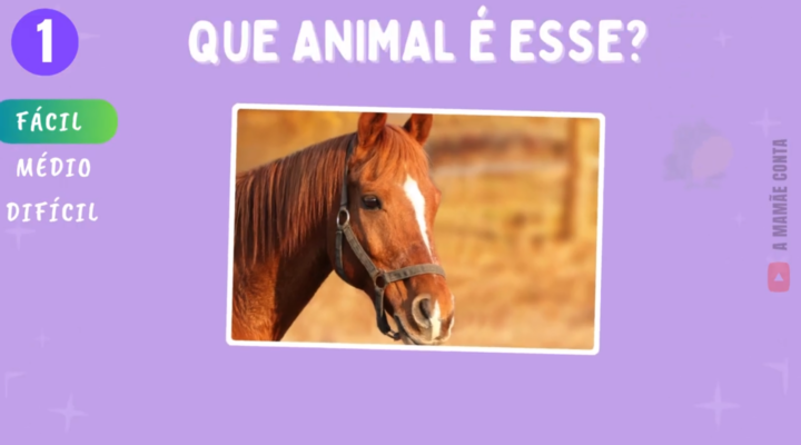 Nível Fácil – Parte 1 -Que animal é esse? 🌿🦁 Descubra 10 Criaturas Encantadoras com a Gente!