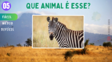 Nível Fácil – Parte 2 -Quiz Que animal é esse? 🌿🦁 Descubra 10 Animais Encantadores com a Gente!